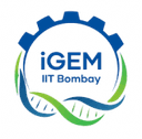 iGEM IITB