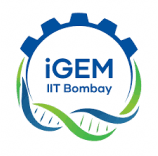 iGEM IIT Bombay