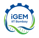iGEM IITB